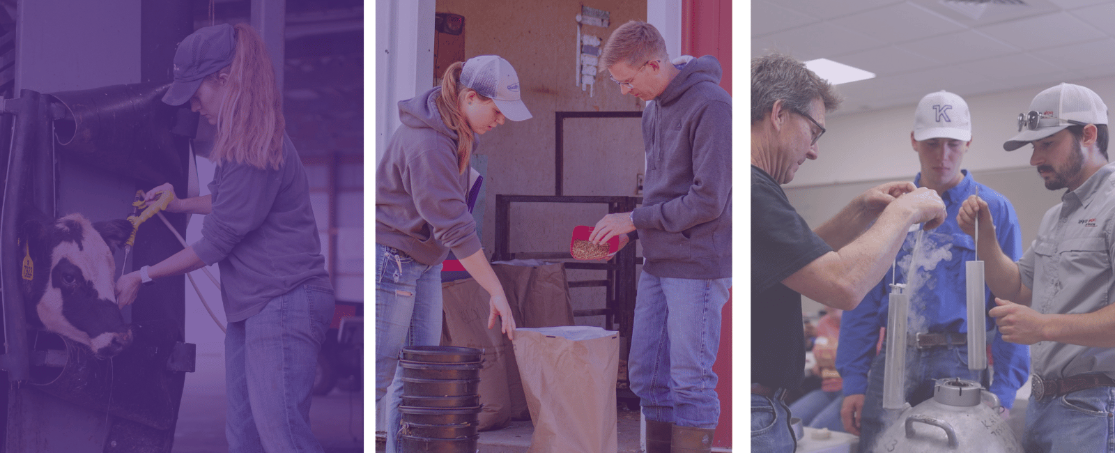 Applied Learning Experiences